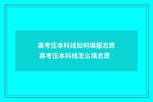 高考压本科线如何填报志愿 高考压本科线怎么填志愿