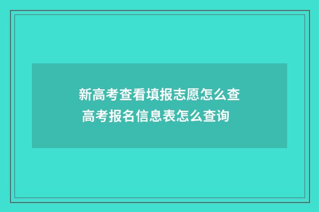 新高考查看填报志愿怎么查 高考报名信息表怎么查询