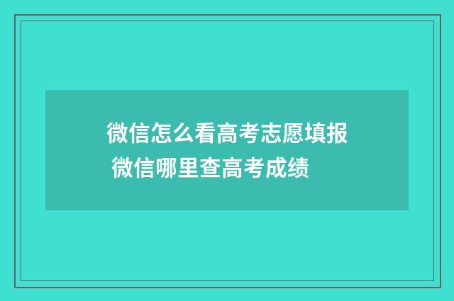 微信怎么看高考志愿填报 微信哪里查高考成绩