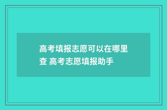 高考填报志愿可以在哪里查 高考志愿填报助手