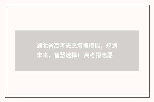 湖北省高考志愿填报模拟，规划未来，智慧选择！ 高考报志愿