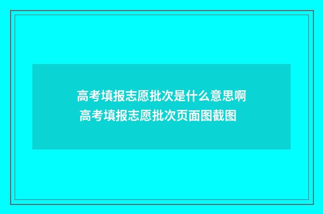 高考填报志愿批次是什么意思啊 高考填报志愿批次页面图截图