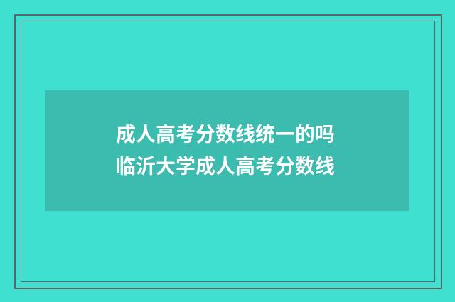 成人高考分数线统一的吗 临沂大学成人高考分数线