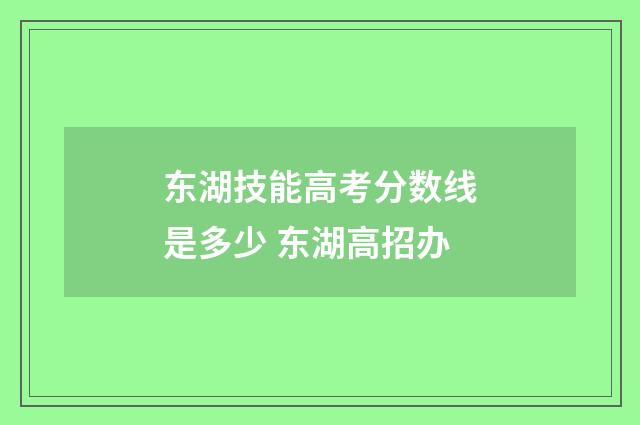 东湖技能高考分数线是多少 东湖高招办