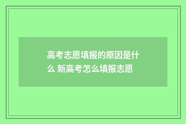 高考志愿填报的原因是什么 新高考怎么填报志愿