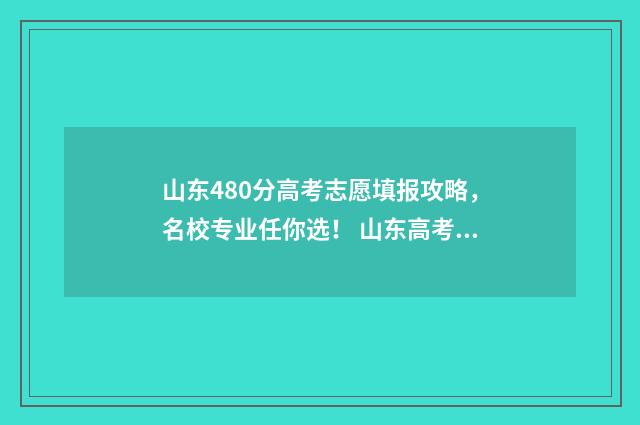 山东480分高考志愿填报攻略，名校专业任你选！ 山东高考分数线2021年480分能考什么学校?