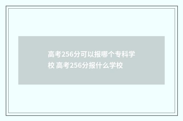 高考256分可以报哪个专科学校 高考256分报什么学校