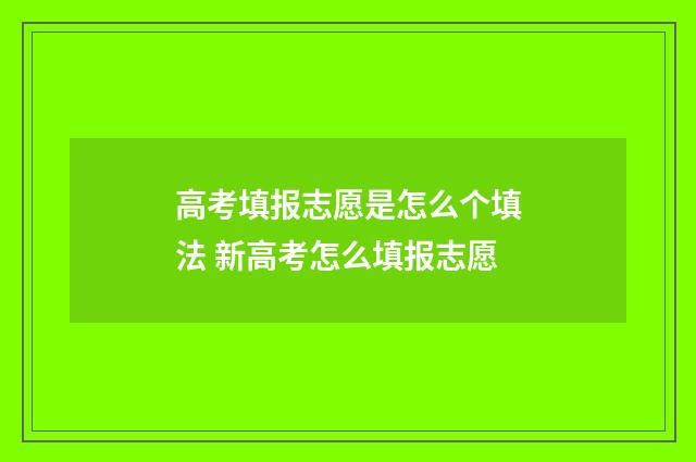 高考填报志愿是怎么个填法 新高考怎么填报志愿