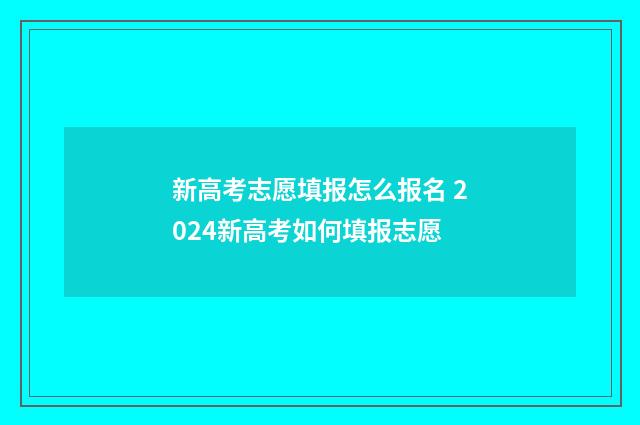 新高考志愿填报怎么报名 2024新高考如何填报志愿