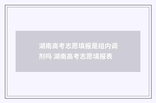 湖南高考志愿填报是组内调剂吗 湖南高考志愿填报表