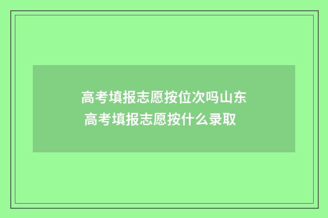 高考填报志愿按位次吗山东 高考填报志愿按什么录取