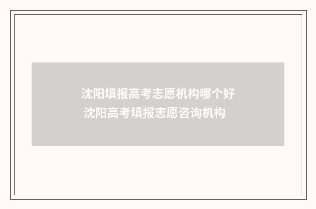 沈阳填报高考志愿机构哪个好 沈阳高考填报志愿咨询机构