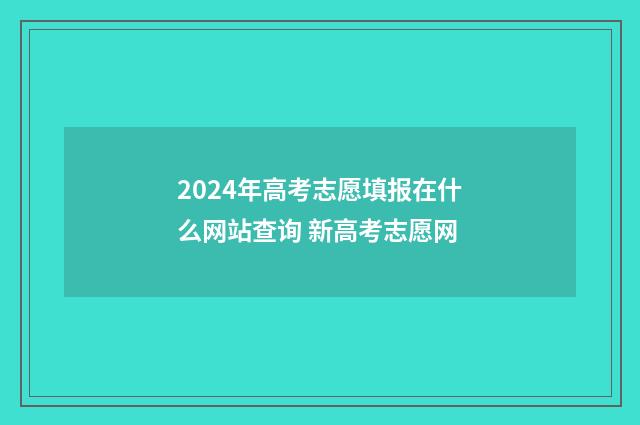 2024年高考志愿填报在什么网站查询 新高考志愿网
