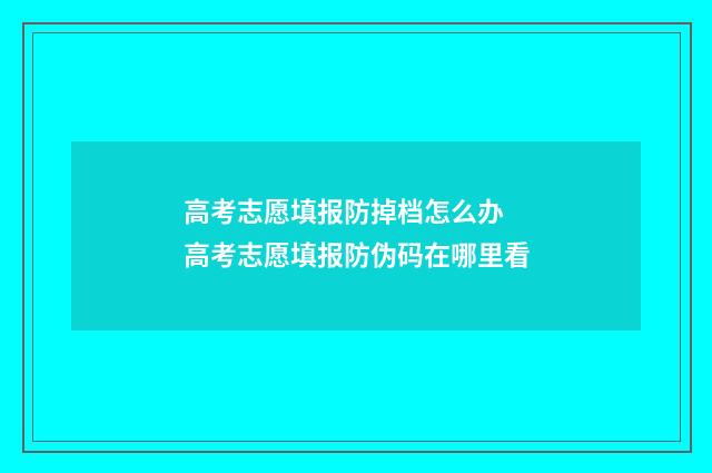 高考志愿填报防掉档怎么办 高考志愿填报防伪码在哪里看