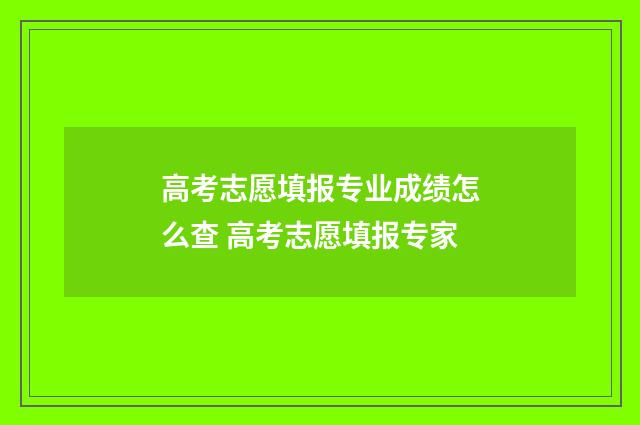 高考志愿填报专业成绩怎么查 高考志愿填报专家