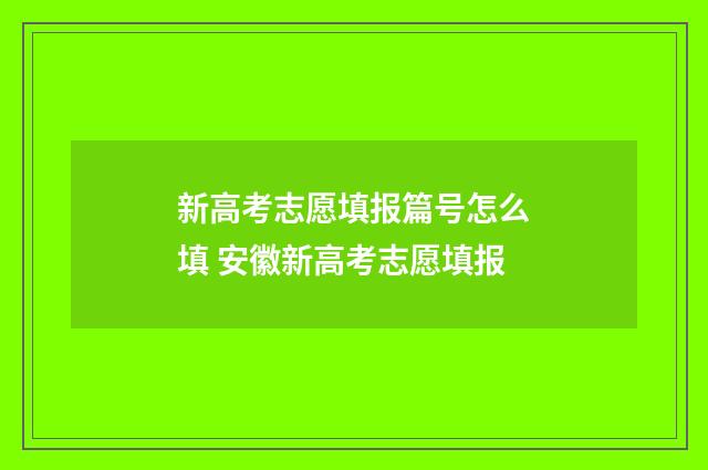 新高考志愿填报篇号怎么填 安徽新高考志愿填报