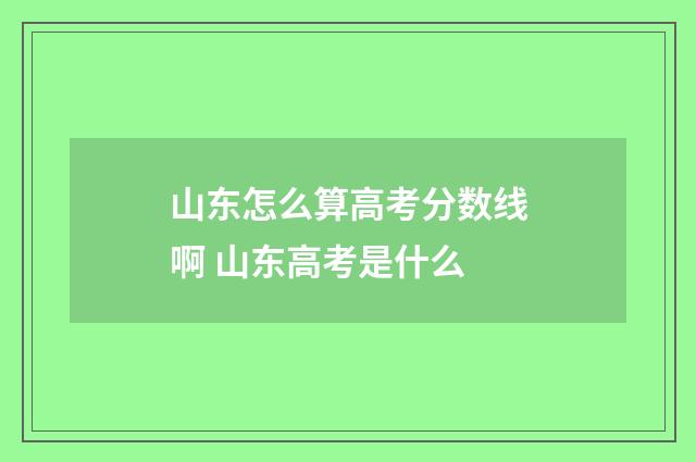 山东怎么算高考分数线啊 山东高考是什么