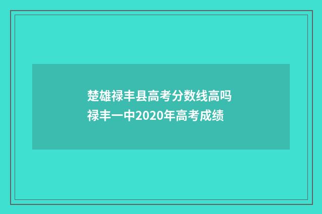 楚雄禄丰县高考分数线高吗 禄丰一中2020年高考成绩