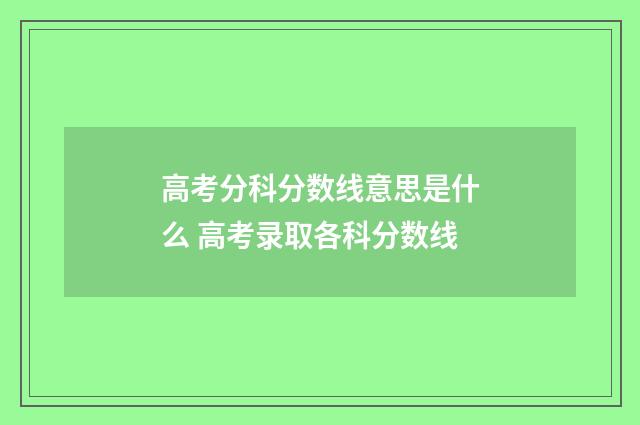 高考分科分数线意思是什么 高考录取各科分数线