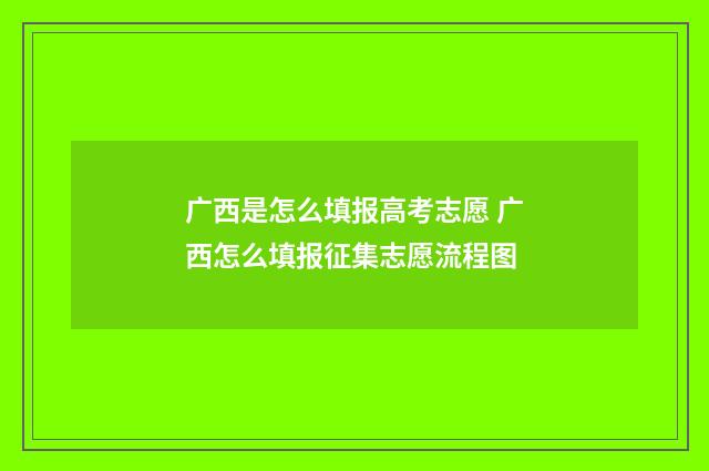 广西是怎么填报高考志愿 广西怎么填报征集志愿流程图