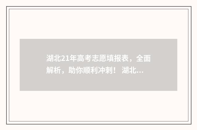 湖北21年高考志愿填报表，全面解析，助你顺利冲刺！ 湖北高考 2021