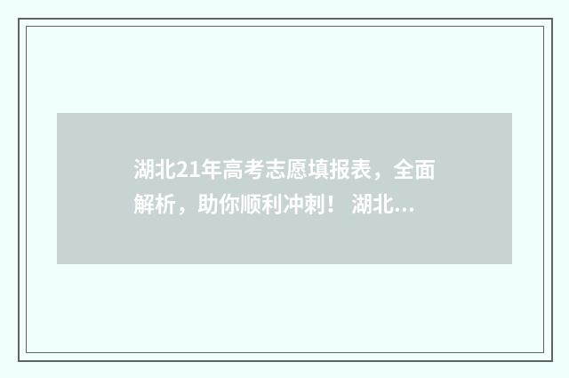 湖北21年高考志愿填报表，全面解析，助你顺利冲刺！ 湖北高考 2021