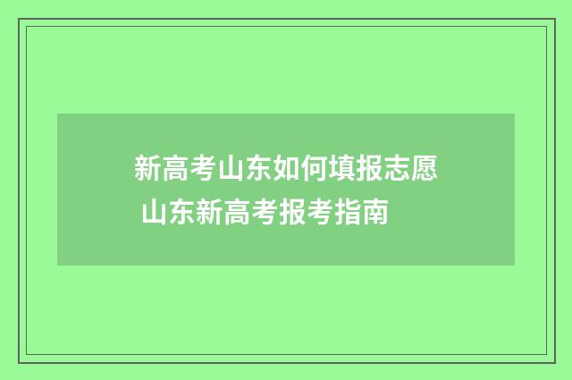新高考山东如何填报志愿 山东新高考报考指南