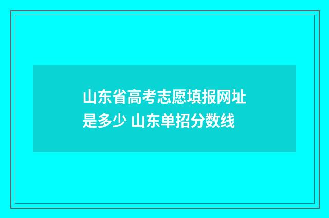 山东省高考志愿填报网址是多少 山东单招分数线