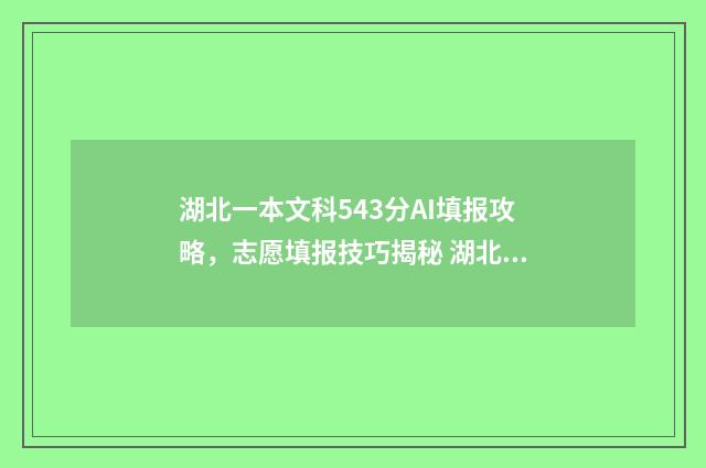 湖北一本文科543分AI填报攻略，志愿填报技巧揭秘 湖北一本文科大学