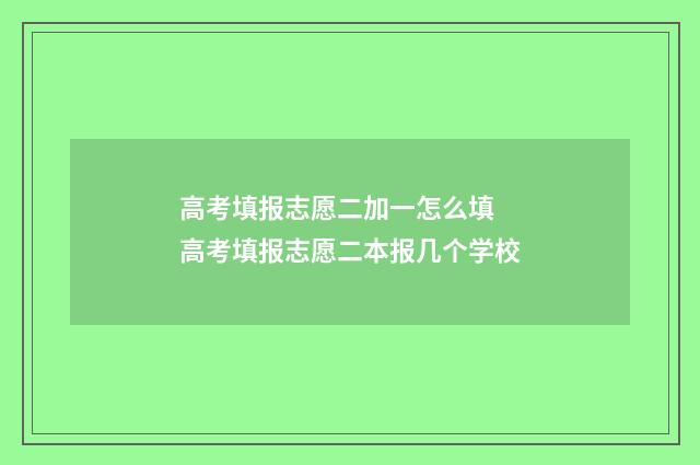 高考填报志愿二加一怎么填 高考填报志愿二本报几个学校
