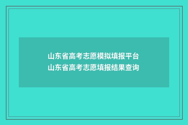 山东省高考志愿模拟填报平台 山东省高考志愿填报结果查询
