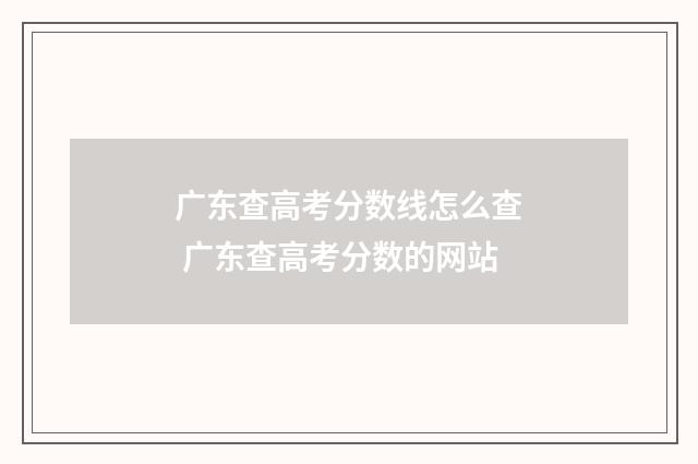 广东查高考分数线怎么查 广东查高考分数的网站