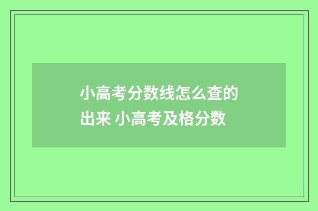 小高考分数线怎么查的出来 小高考及格分数