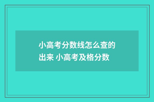 小高考分数线怎么查的出来 小高考及格分数