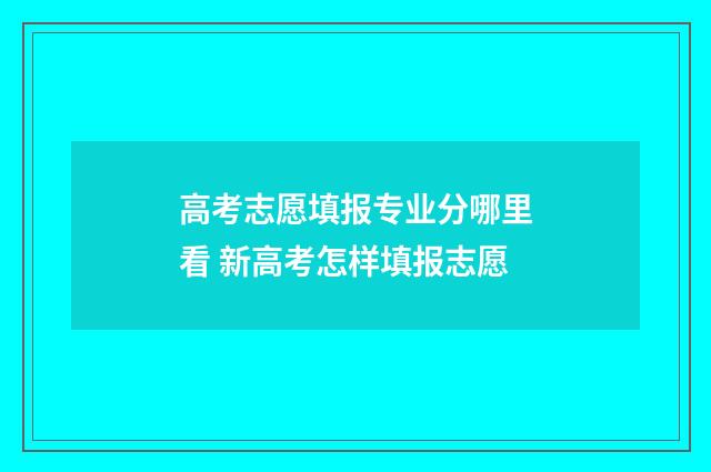 高考志愿填报专业分哪里看 新高考怎样填报志愿