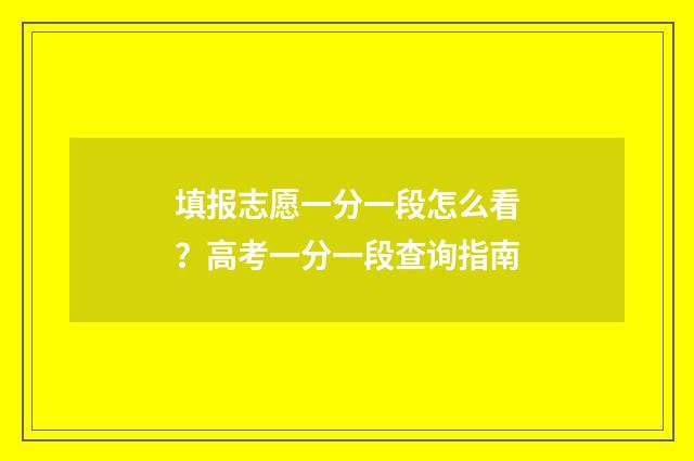 填报志愿一分一段怎么看？高考一分一段查询指南