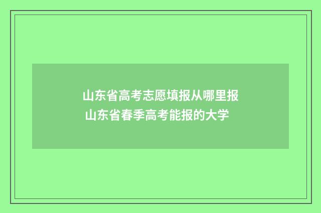 山东省高考志愿填报从哪里报 山东省春季高考能报的大学