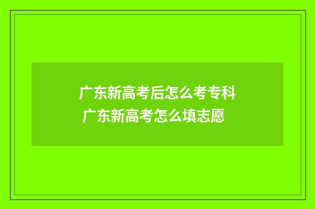 广东新高考后怎么考专科 广东新高考怎么填志愿