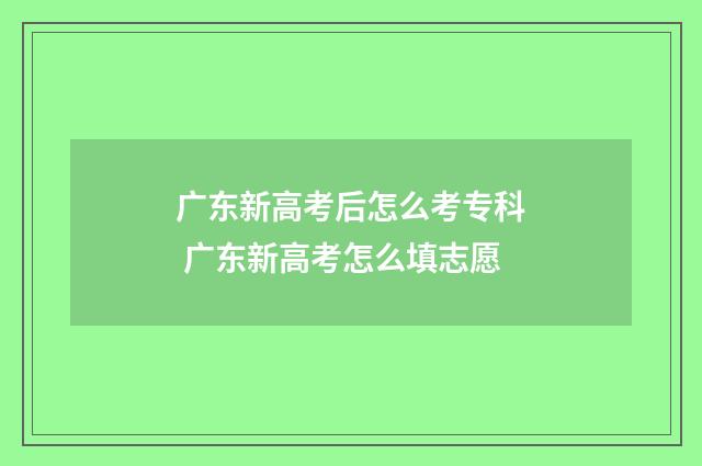 广东新高考后怎么考专科 广东新高考怎么填志愿