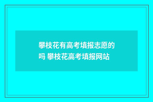 攀枝花有高考填报志愿的吗 攀枝花高考填报网站