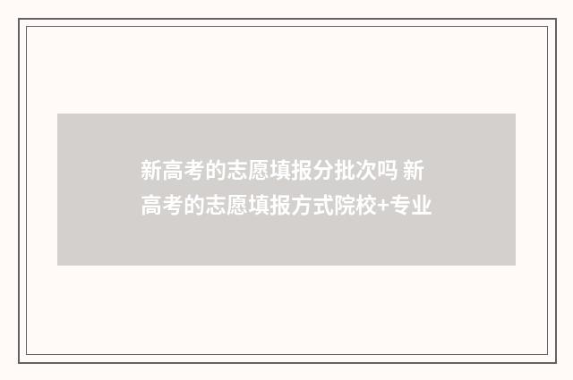 新高考的志愿填报分批次吗 新高考的志愿填报方式院校+专业