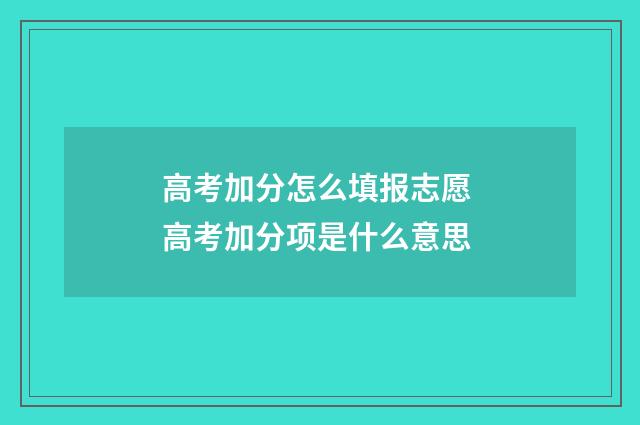 高考加分怎么填报志愿 高考加分项是什么意思