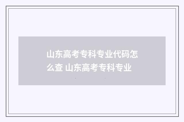 山东高考专科专业代码怎么查 山东高考专科专业