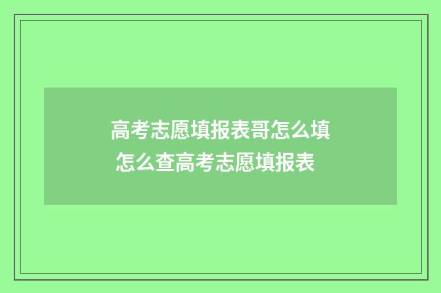 高考志愿填报表哥怎么填 怎么查高考志愿填报表