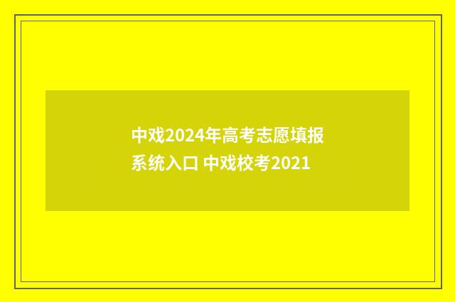 中戏2024年高考志愿填报系统入口 中戏校考2021