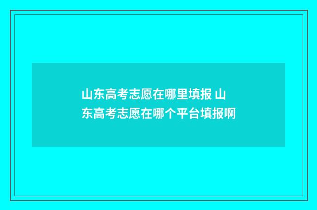 山东高考志愿在哪里填报 山东高考志愿在哪个平台填报啊