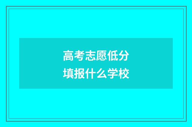 高考志愿低分填报什么学校