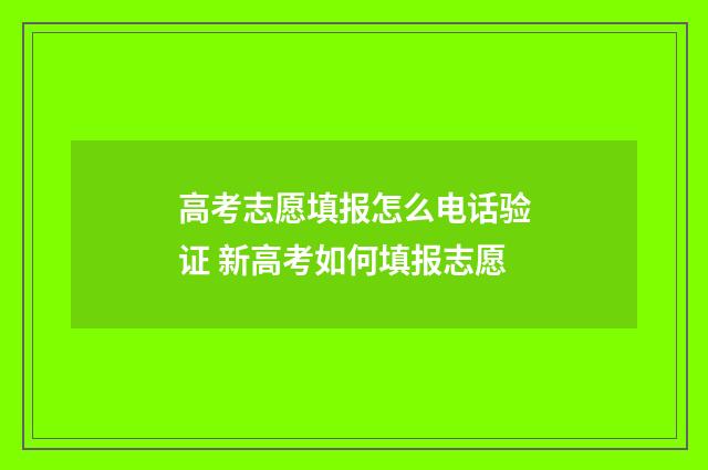 高考志愿填报怎么电话验证 新高考如何填报志愿