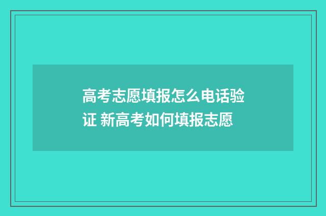 高考志愿填报怎么电话验证 新高考如何填报志愿