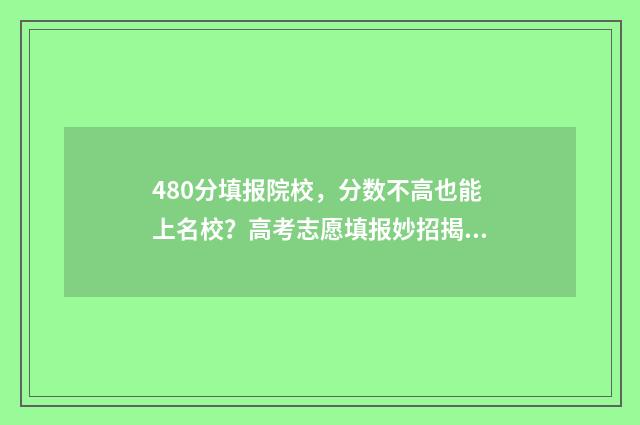 480分填报院校，分数不高也能上名校？高考志愿填报妙招揭秘 480高考分数可以填什么好大学